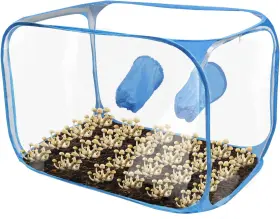 Amymark 445050056097 Still Air Box - Mushroom Growing Tent-spore Fungus Fume Hood Propagation Station