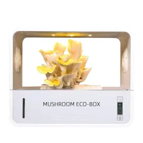 Crownow Sce-001 Mushroom Grow Tent With Temperature And Humidity Display Smart Growi