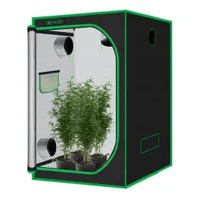 600d Green Hut 654070969905 60 Inch X60 X78 Mylar Hydroponic Growing Tents For Plants Inside Reflective