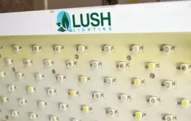 Eg130107150 Lush Lighting - Dominator Grow Light 200 3w Input Voltage Ac86-264v 50/60 Hz #2