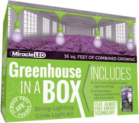 607238 Miracle Led Almost Free Energy Greenhouse A Box Grow Light Kit For Plants 150w