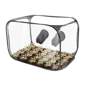 Satcop 408177104676 Mushroom Growing Still Air Box Up Container Simple Zipper Design Fo
