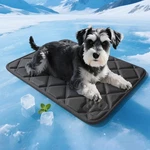 Cooling Mat, Ice Silk Self Pad For Dogs And Cats (16"X24") Black. Fixed Price $8.00.